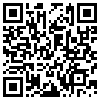 QR Code Handyversion