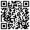 QR Code Handyversion