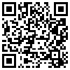 QR Code Handyversion