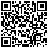 QR Code Handyversion