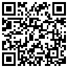 QR Code Handyversion