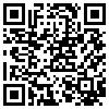 QR Code Handyversion