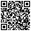 QR Code Handyversion