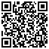 QR Code Handyversion