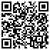 QR Code Handyversion