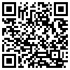 QR Code Handyversion