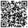 QR Code Handyversion