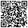 QR Code Handyversion