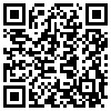 QR Code Handyversion