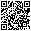 QR Code Handyversion