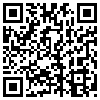 QR Code Handyversion