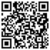 QR Code Handyversion