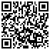 QR Code Handyversion