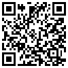 QR Code Handyversion