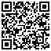 QR Code Handyversion