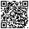 QR Code Handyversion