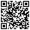 QR Code Handyversion