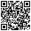 QR Code Handyversion