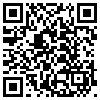 QR Code Handyversion