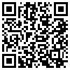 QR Code Handyversion