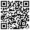 QR Code Handyversion