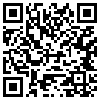 QR Code Handyversion