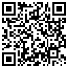 QR Code Handyversion