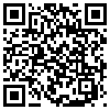 QR Code Handyversion