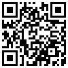 QR Code Handyversion