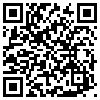 QR Code Handyversion