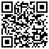 QR Code Handyversion