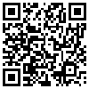 QR Code Handyversion