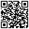 QR Code Handyversion