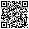 QR Code Handyversion