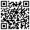 QR Code Handyversion