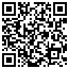 QR Code Handyversion