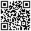 QR Code Handyversion