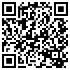 QR Code Handyversion