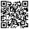 QR Code Handyversion