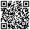 QR Code Handyversion