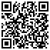 QR Code Handyversion