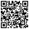 QR Code Handyversion