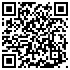 QR Code Handyversion