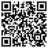 QR Code Handyversion