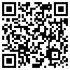 QR Code Handyversion