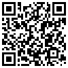 QR Code Handyversion