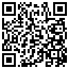 QR Code Handyversion