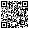 QR Code Handyversion