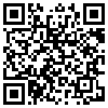 QR Code Handyversion