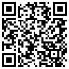 QR Code Handyversion